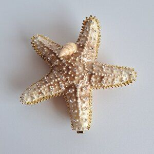 NEW Starfish with Seashell Trinket Box Jewelry Box